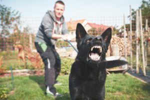 Man and angry dog